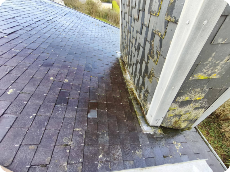 before-image